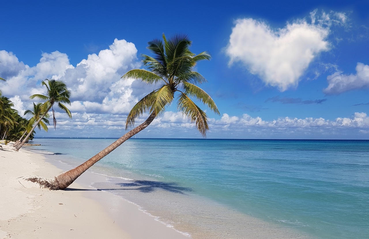 beach-7059537_1280