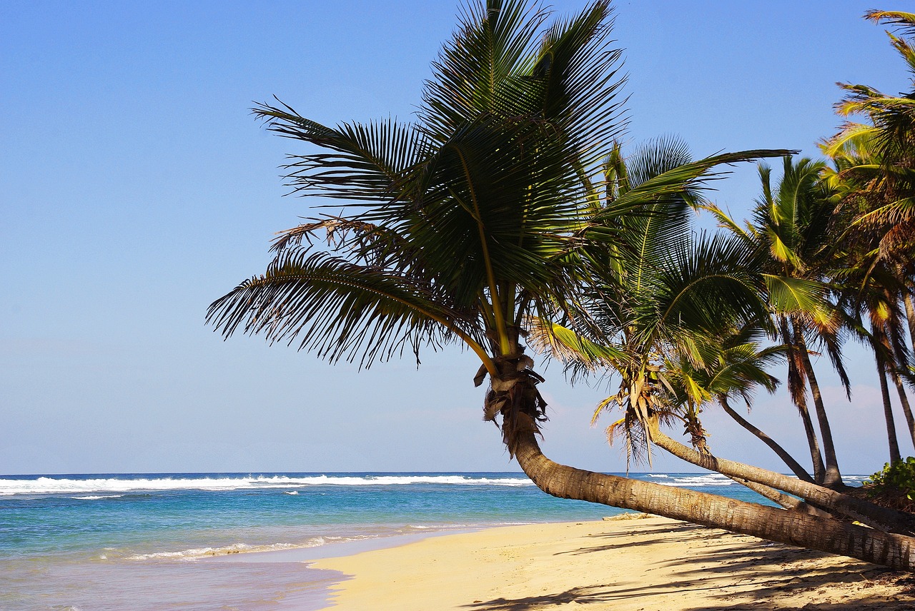 punta-cana-1808462_1280
