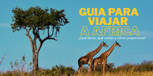 Lee más sobre el artículo Guía esencial para viajar a África: qué llevar, qué visitar y cómo prepararse